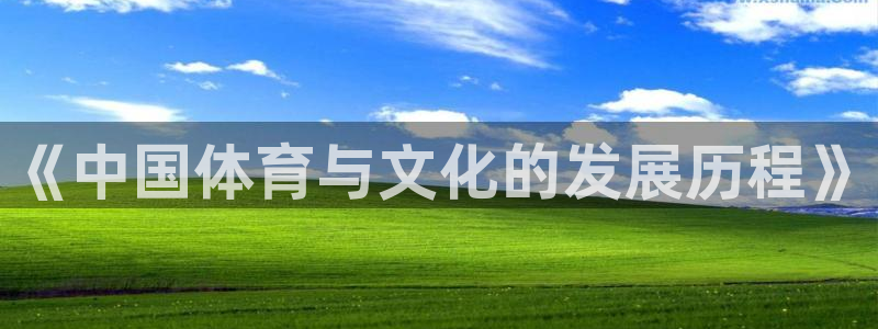 vsport体育