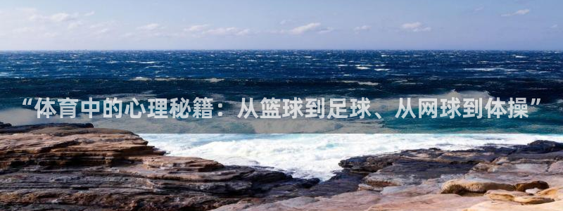 vsport体育在线官网