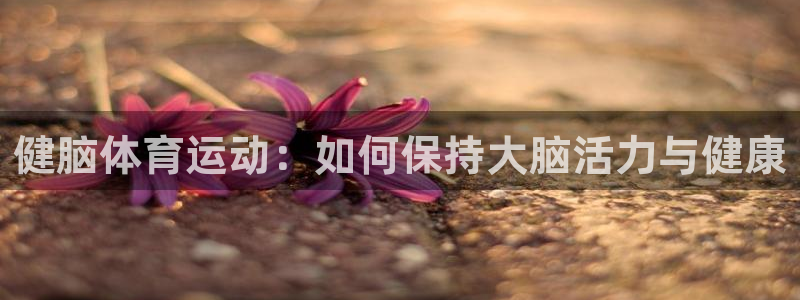 vsport体育在线官网