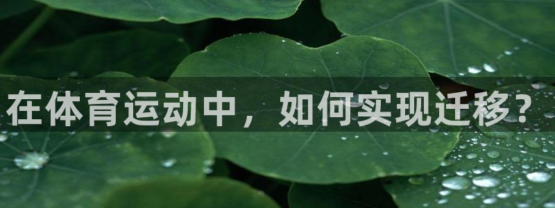 vsport体育在线官网