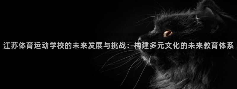 vsport体育在线官网