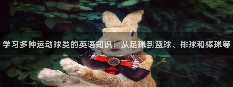 vsport体育在线官网