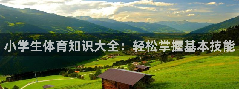 vsport体育在线官网