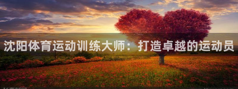 vsport体育在线官网