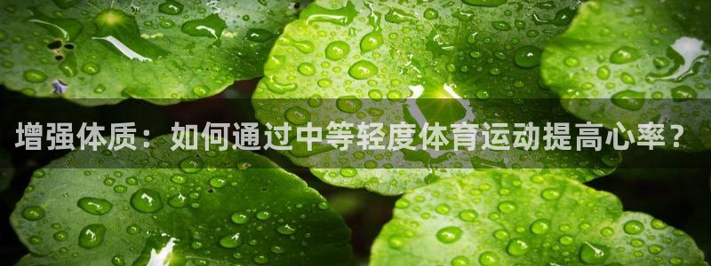 vsport体育在线官网