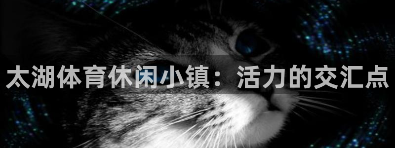 vsport体育在线官网