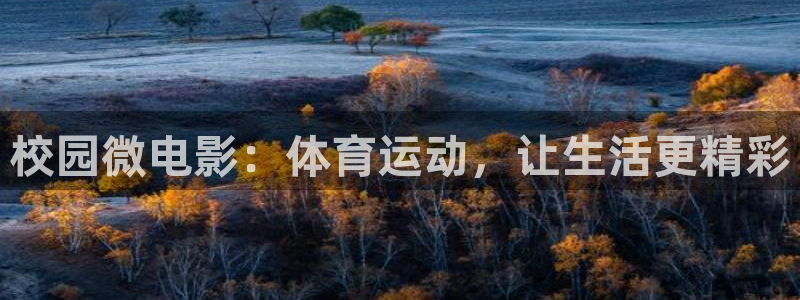 vsport体育在线官网